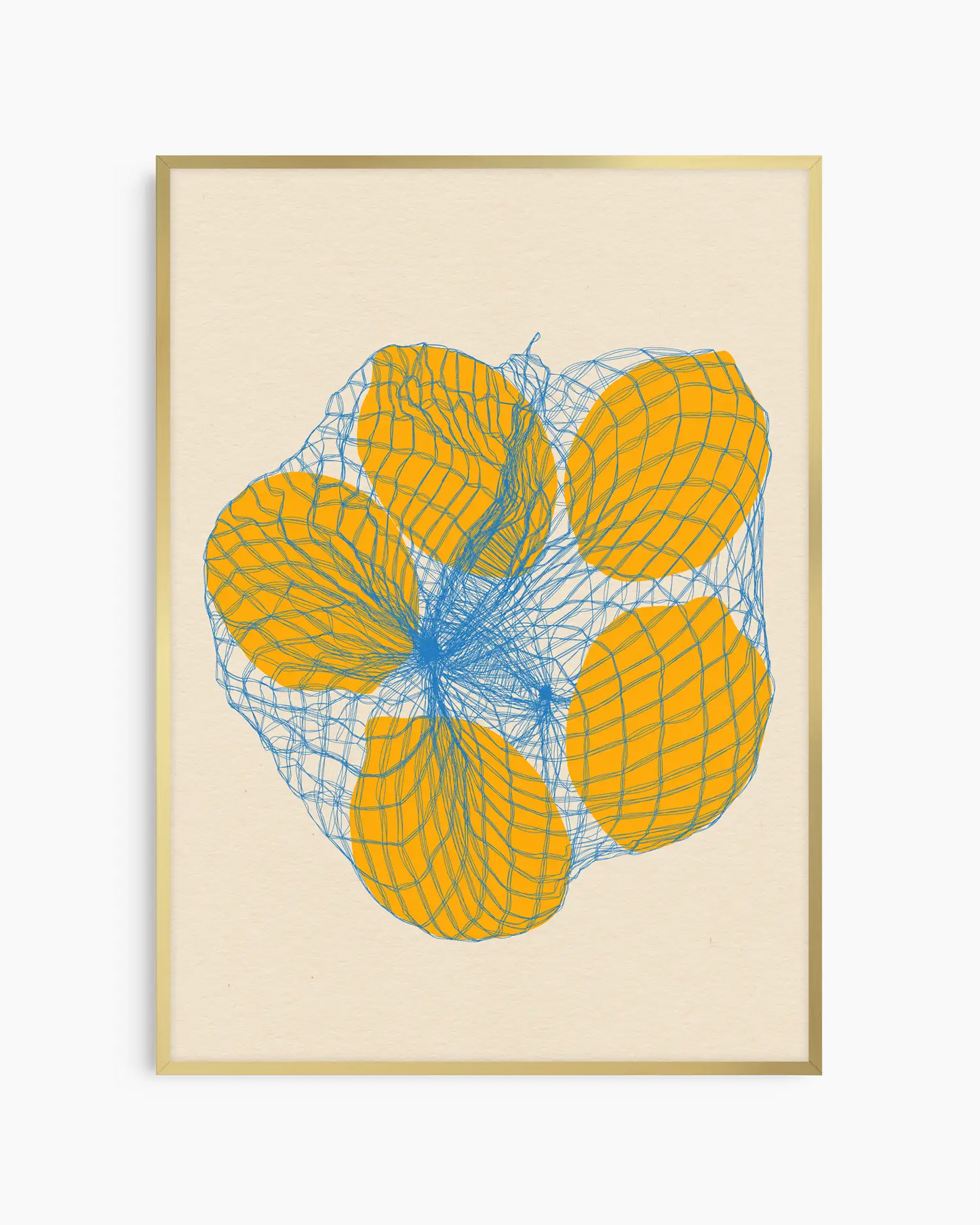 Framed Illustration of Lemons in a Net Bag